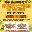 테디투어 이미지
