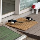 우성동백 | [구축아파트 리모델링 후기] 동백우성아파트리모델링 / 한양인테리어 / 군포인테리어 / 산본리모델링...