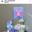 오오에스 이미지