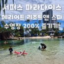 서퍼스파라다이스 | 아이랑 골드코스트 메리어트 베케이션 클럽 앳 서퍼스 파라다이스 - 수영장 200% 즐기기