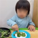 마전어린이집 | 아이들의 꿈이 자라는 곳, 영남어린이집이 선사하는 검단신도시어린이집 경험
