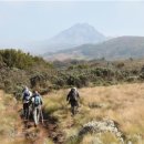 킬리만자로 이미지