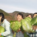 월악산공이동 이미지