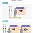 아벨리노 - 강남구 봉은사로2길 23 | 아벨리노