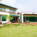 탄넨바움 이미지