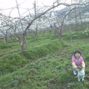 나비랑 한옥 이미지