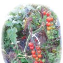 횡성산촌민박 이미지