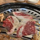 돈주반