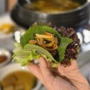 동굴집 - 중구 | [마산가포맛집] 동굴집 오리불고기 오리탕 내돈내산 재방문 솔직후기 주말 웨이팅 테이블링 주차