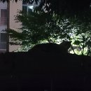 한주A 경로당 네이버블로그