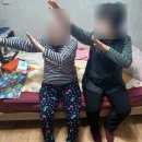 하모니청과