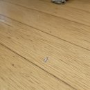 삼성한신아파트 이미지