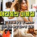 행복펫 애견미용실 이미지