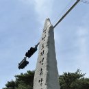안면도 자연휴양림, 4세 쌍둥이와 다녀온 힐링 숲 여행 후기