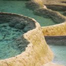 천지자원 이미지