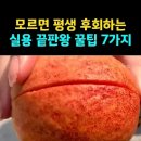 모르면 후회하는 생활 꿀팁 7가지 이미지