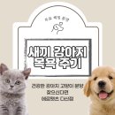 에르펫츠 강아지분양 고양이분양 다산점 이미지