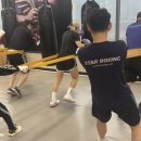 판교스타복싱 이미지