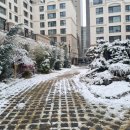 청담-103 이미지