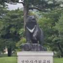 *제210차 설악산 울산바위 정기산행 공지* 이미지
