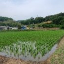 상만경로당 이미지