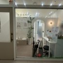 눈숲 이미지