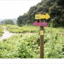 마이산길 이미지