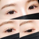 포쉬 | 홍대입구역 속눈썹펌연장 합정 포쉬래쉬 마스카라 연장 JC컬 후기