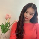 안동라라샵 | 안동붙임머리 내돈내산 후기 (안동에서 망해서 대구 가서 하고 옴)