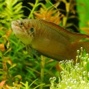 백제고기나라 이미지