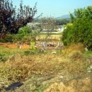 동남농장3 이미지