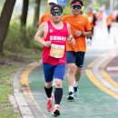 2023년 하반기 공식 하프 대회 경과 보고(국제 평화 마라톤) 이미지