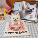 댕빵소 이미지