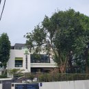 청담동라인한의원 이미지