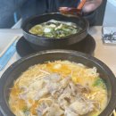 가자 펫 택시 | 히구랑 함께하는 대련 여행 둘쨋날 🍜🇨🇳🥟