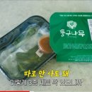 피크닉스시 이미지