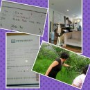 서영농장 이미지