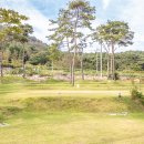 솔내음물댄동산