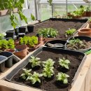 상승농장 이미지