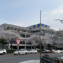 [동부회센타] 진해 가성비 횟집 회맛집 동부회센터 추천 / 웨이팅 내돈내산 후기