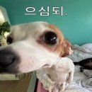 1퍼센트 이미지