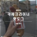 가판대 | 2025 동유럽 비엔나 Bitzinger 후기(핫도그 가판대)