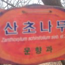 큰골2 이미지