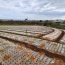 압해공인중개사사무소 이미지