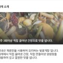 성현동-29 | [이수/사당] 벚꽃게장_간장게장 맛집| 배달맛집