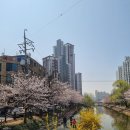 임광그대家공인중개사사무소 이미지