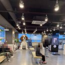 상주축협 동물병원 | 동래동물병원 사직에서 강아지 십자인대 수술 받은후기