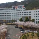 영산대학교(양산) 티스토리