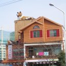 강남종합동물병원 미용실 이미지
