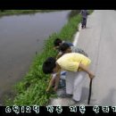 성동천 이미지